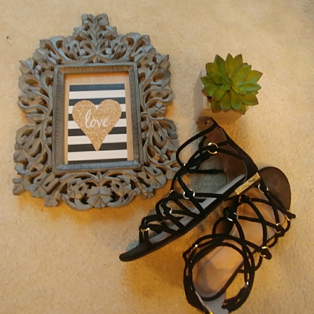 Black Gladiators with Gold features // CATO